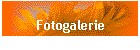 Fotogalerie